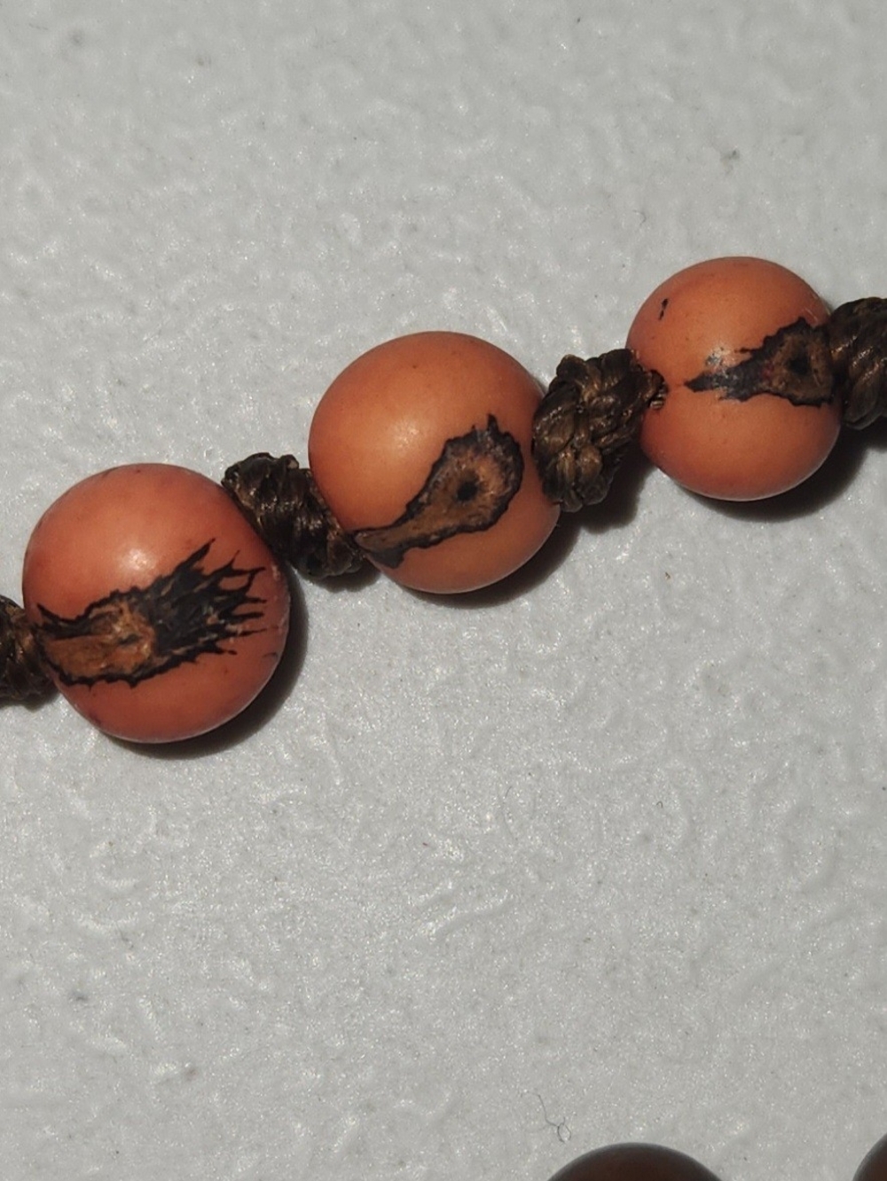 Rare Phoenix-Eye Bodhi Seed & Tagua Nut Necklace Bundle - Set of 3